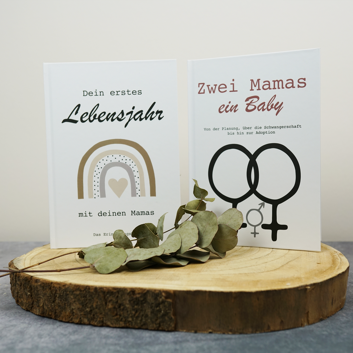 Bücher für zwei lesbische Frauen mit Kinderwunsch. Zwei Mamas ein Baby ist für die Planung der Schwangerschaft bis zur Adoption und dein erstes Lebensjahr ist speziell für zwei Mamas die ein gemeinsames Kind haben.